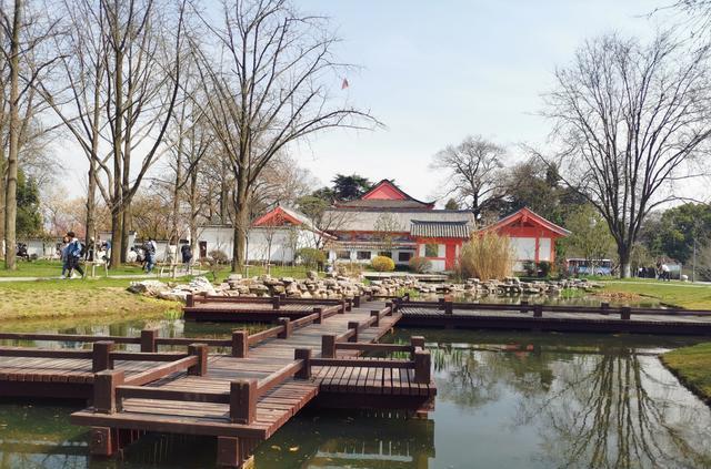 广州生物岛：官洲岛，依江而建红花，绿草如茵红花
