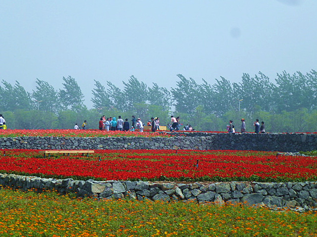 河南焦作南太行省级森林公园入口打造壮美森林旅游打卡地