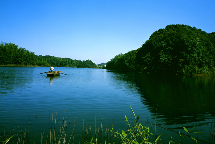 赤水竹海国家森林公园，挥毫泼墨的天然佳景，你去过几个？