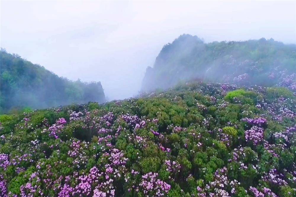 【720°全景观景景区】双牌阳明山旅游区旅游区
