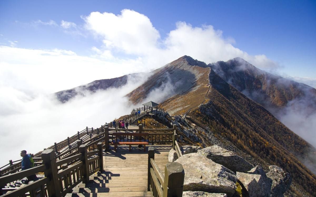 中国大陆青藏高原以东第一高峰——太白山国家森林公园