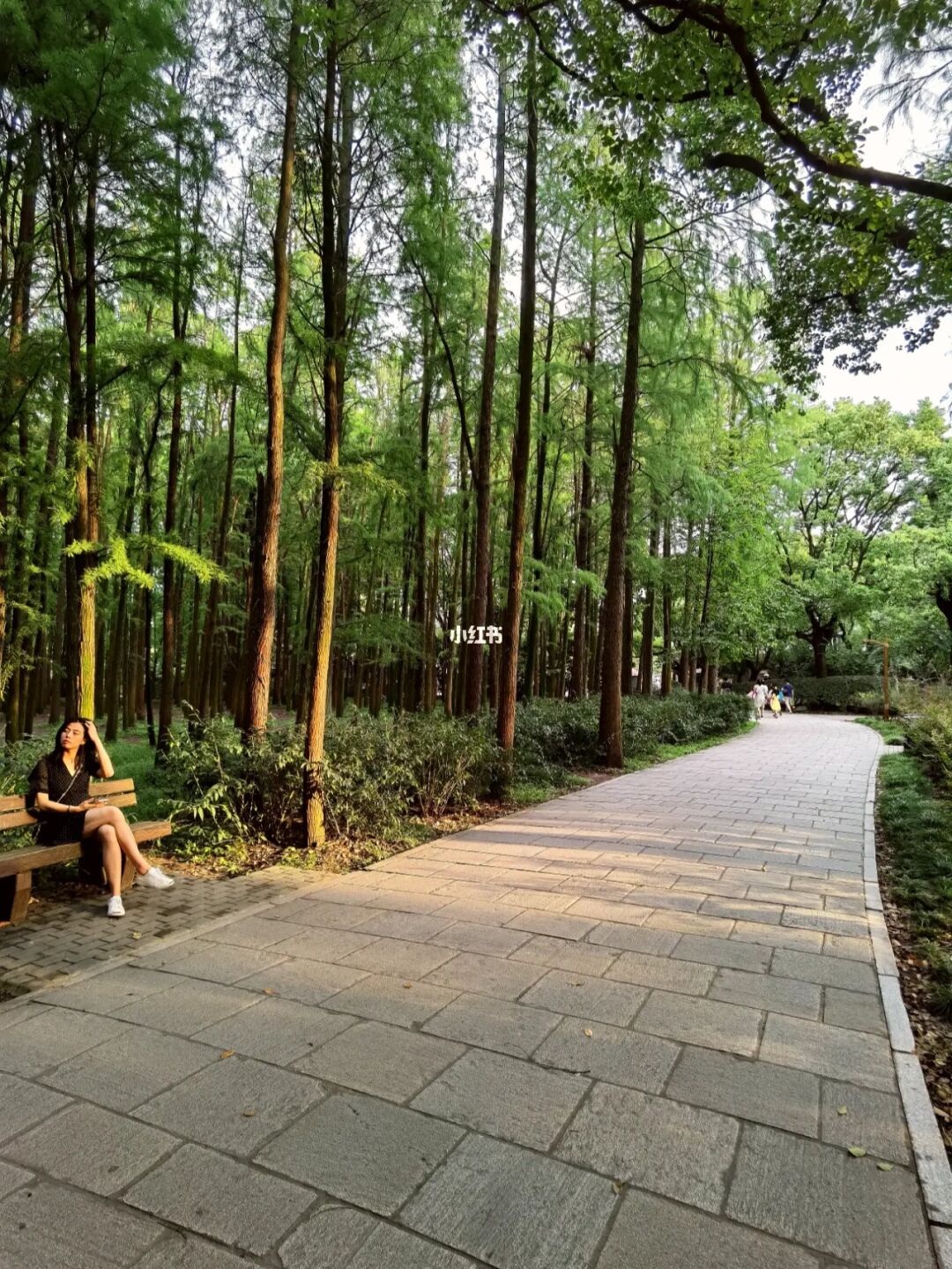 北京顺义滨河森林公园旅游路线图及旅游线路推荐！！