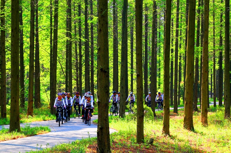 北京顺义滨河森林公园旅游路线图及旅游线路推荐！！