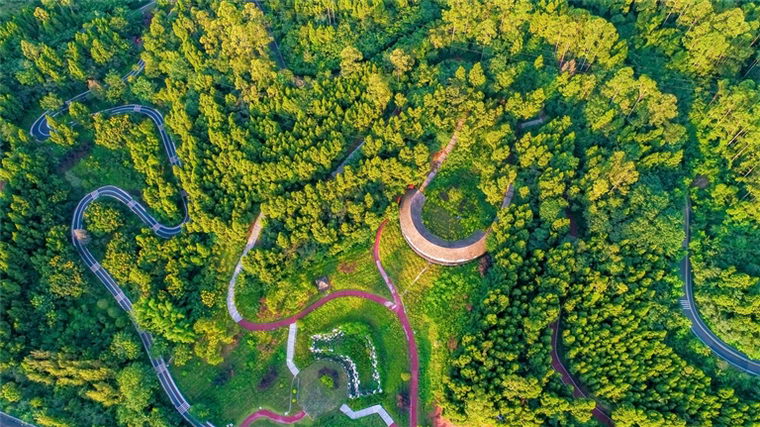 城市森林建设明年将在北京市全市范围推进共16个区