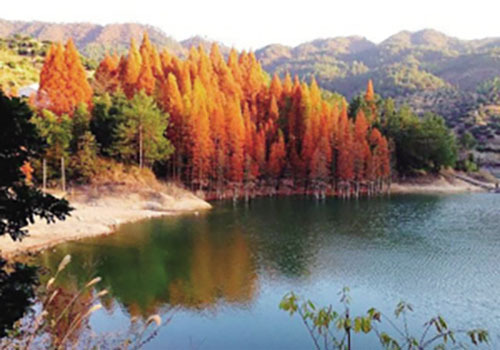 广州已免费开放的17个森林公园名单，你去过几个？