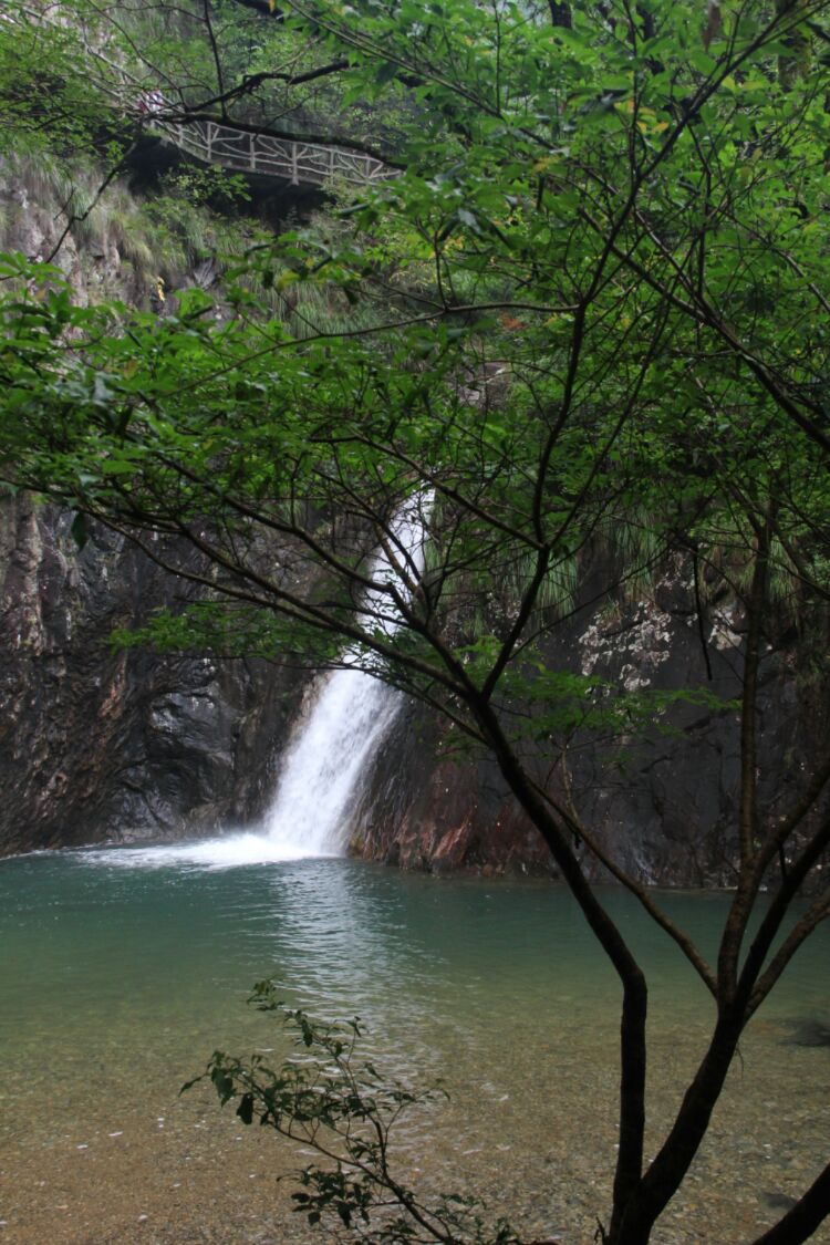 瑞安花岩国家森林公园的九龙潭旅游攻略提供最新瑞安国家森林公园