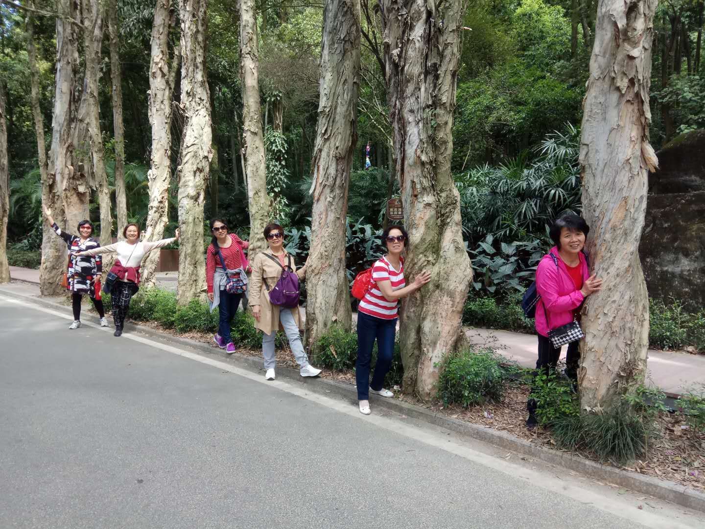 陈小山参加金鸡岭森林公园和南山公园开园仪式并调研民生项目