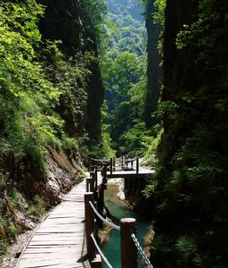 温州市文成县铜铃山森林公园介绍 如果你不曾见过，那你就来吧！(组图)
