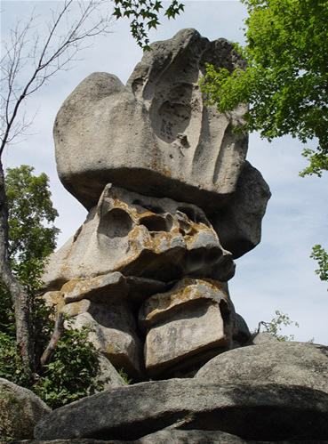 秋天可以避暑,景色感觉不如春天山茶烂漫,秋天红叶