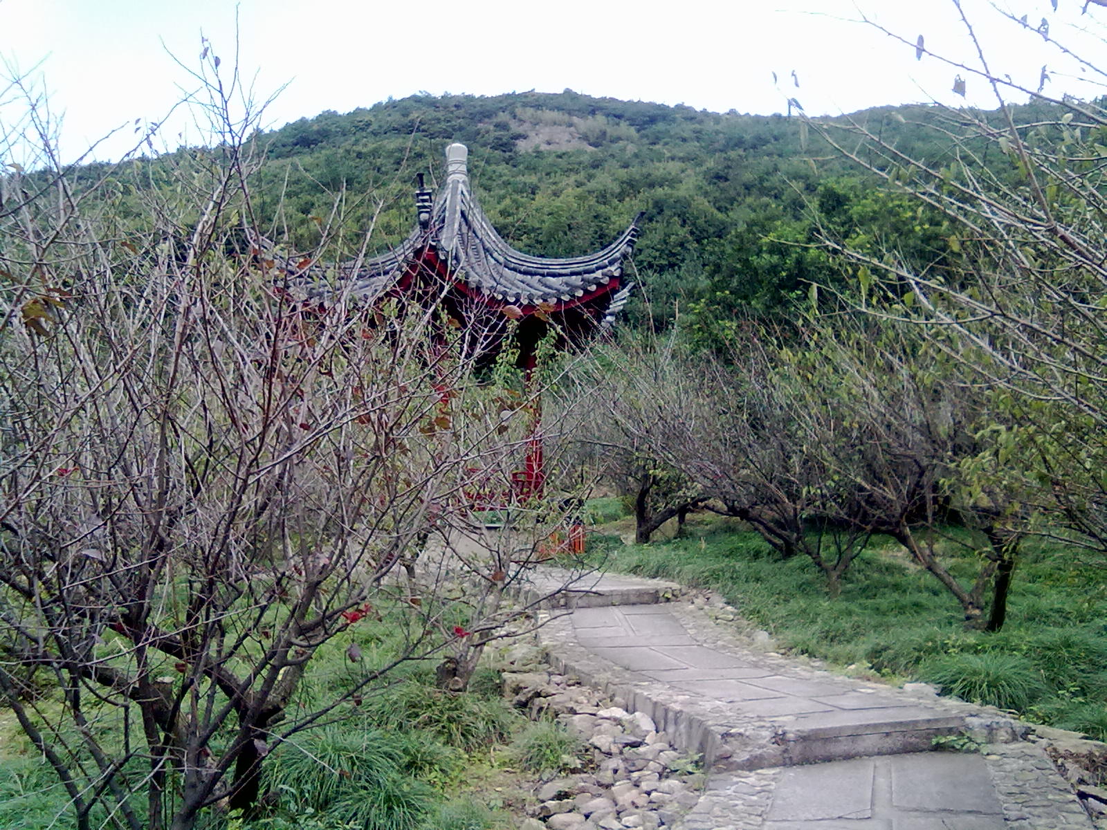 秋天可以避暑，景色感觉不如春天山茶烂漫，秋天红叶