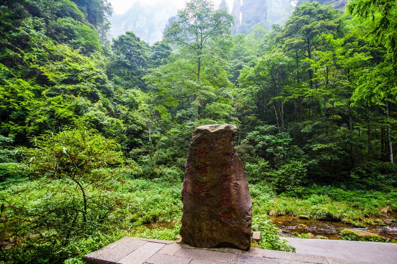 张家界国家森林公园：谷显幽以林见秀的奇特风景