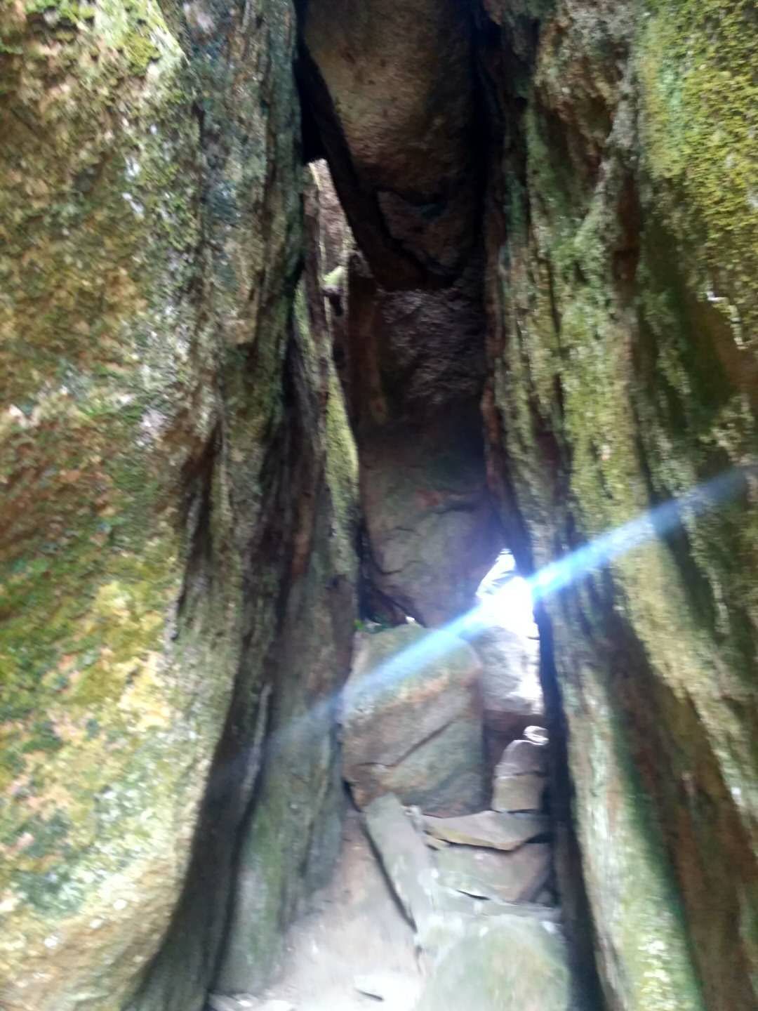 沈阳森林公园导游词旅游攻略(组图)小编带你体验攀高峰