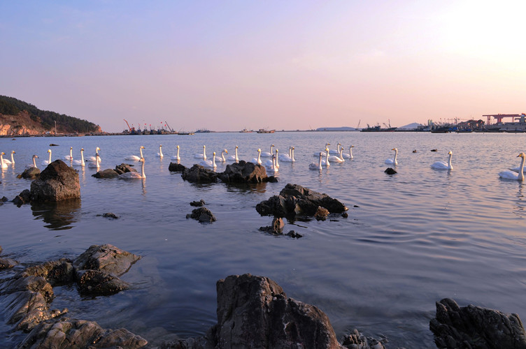 秦皇岛旅游攻略：几个秦皇岛一日游必去景点景点