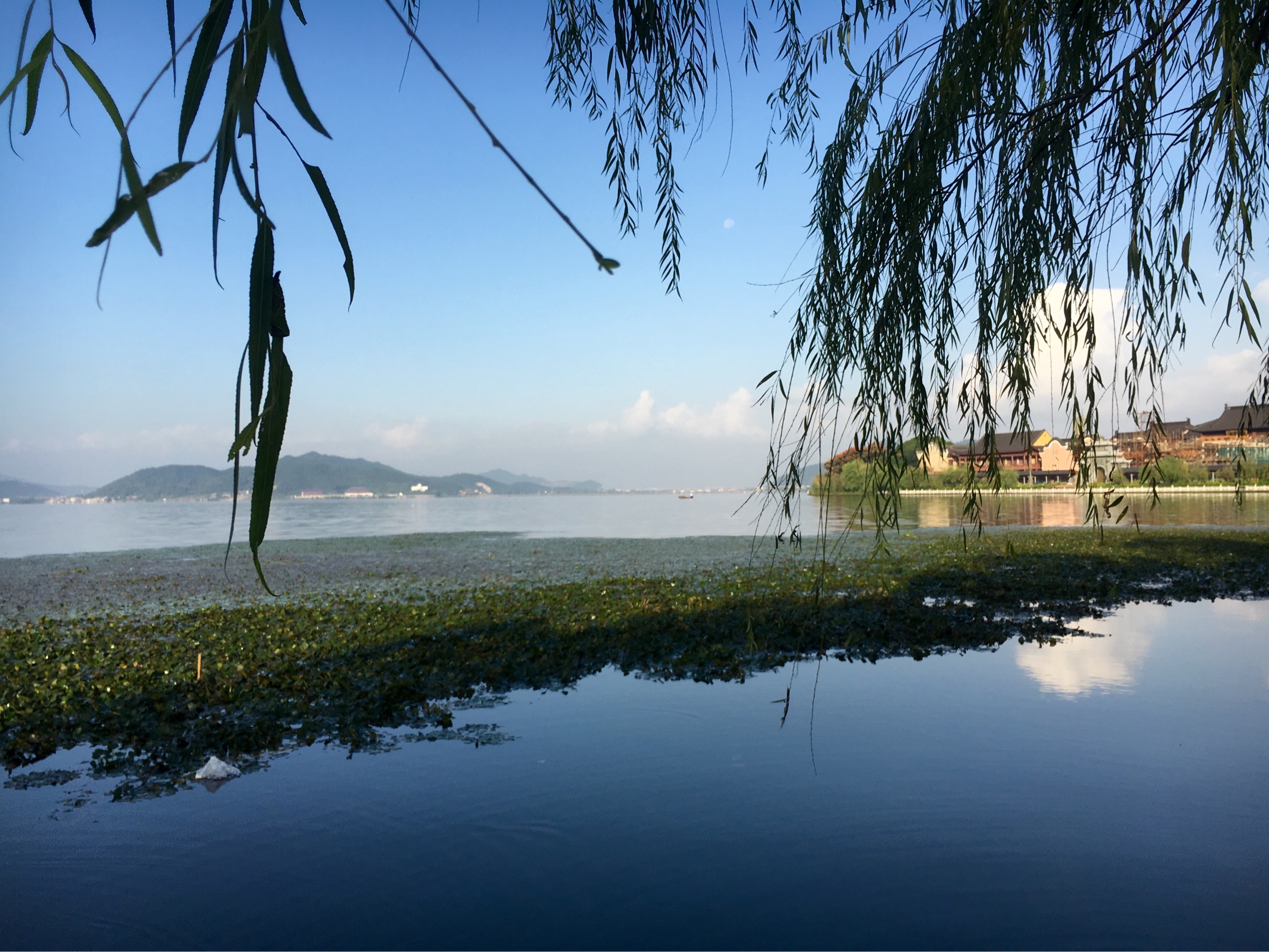 浙江占地面积最大风景旅游区风景风景