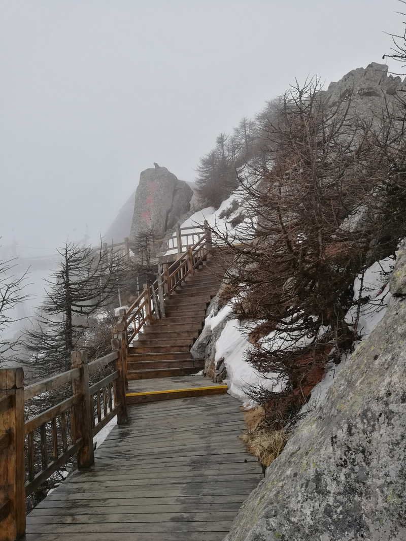 《太白青峰峡森林公园续建项目投资立项计划书.doc》