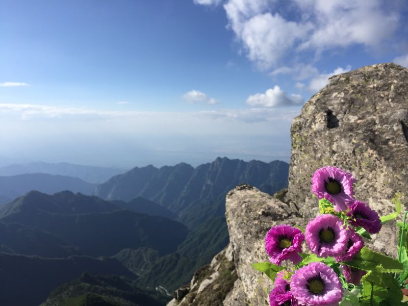 《太白青峰峡森林公园续建项目投资立项计划书.doc》