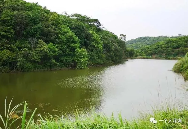 尽职尽责导游编写导游词需要注意哪些问题呢？(组图)