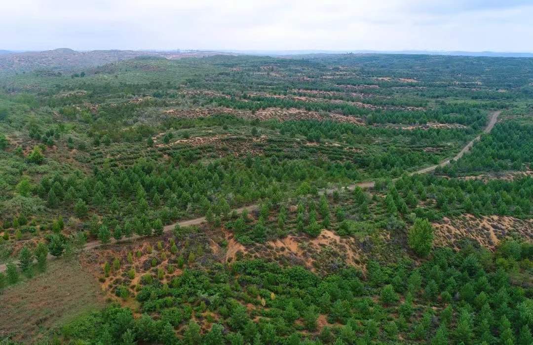 榆林市召了开创建国家森林城市暨春季造林绿化动员大会(图)