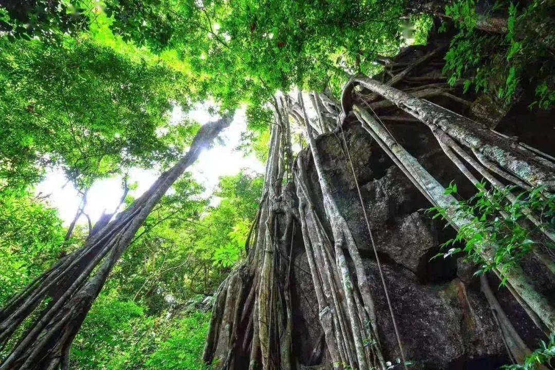 西双版纳原始狩猎活动点及旅游景区