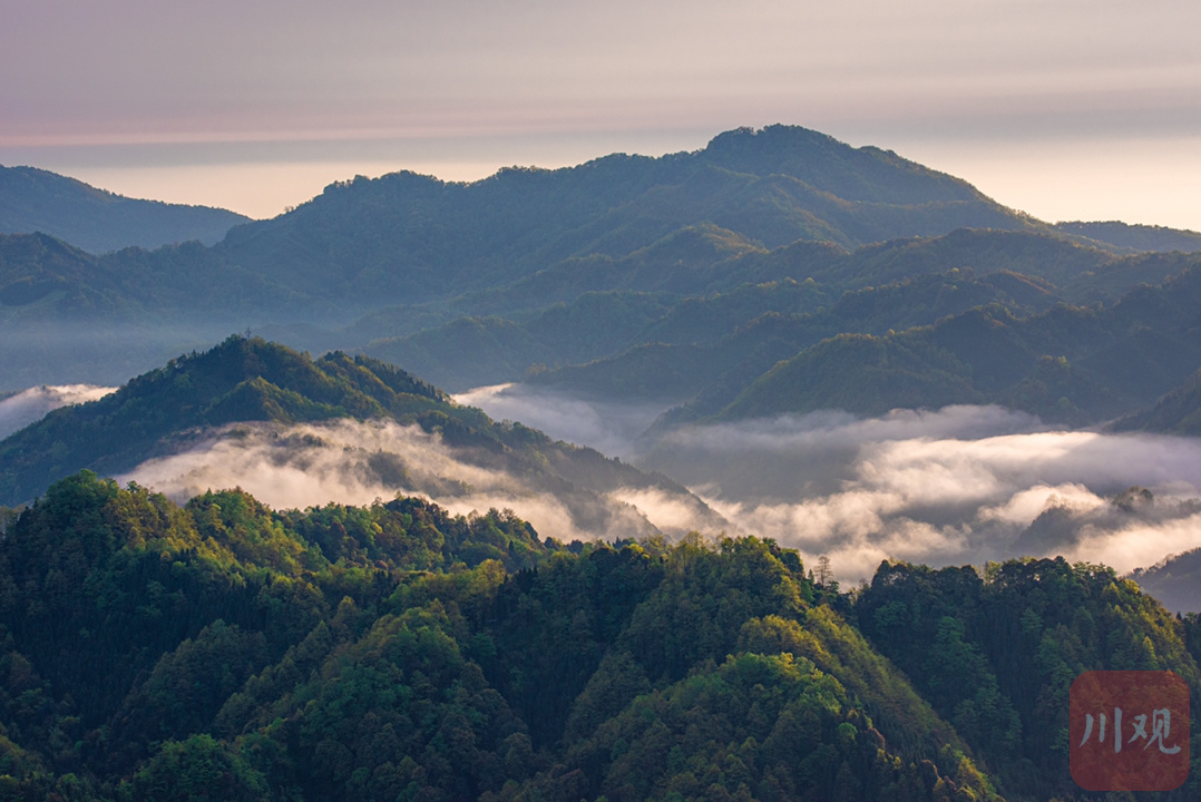 广东省公布广东省十大最美森林旅游目的地，你去过几个？