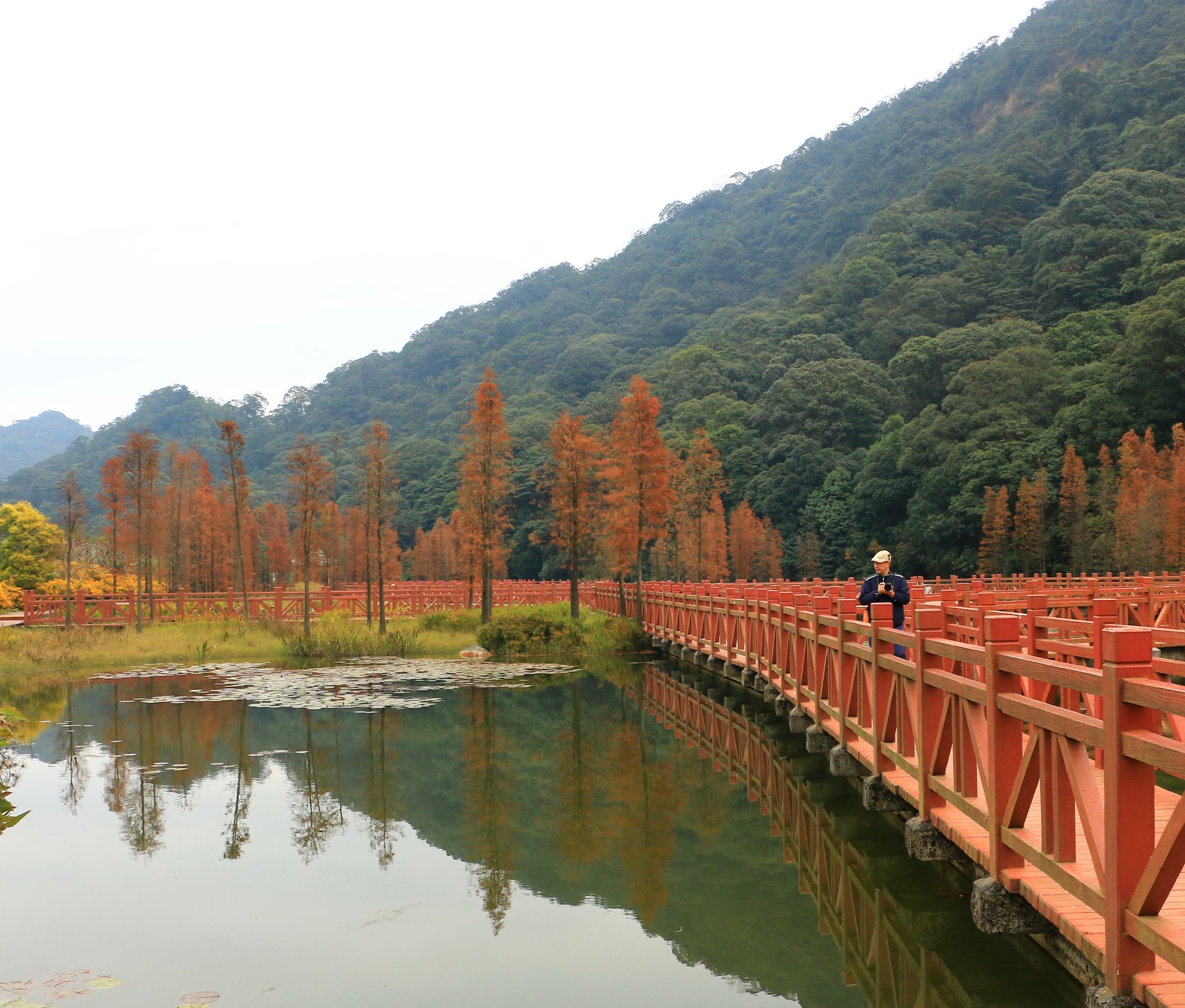 小市鸿基家电公交站集中乘车往从化，抵达天堂顶风景区