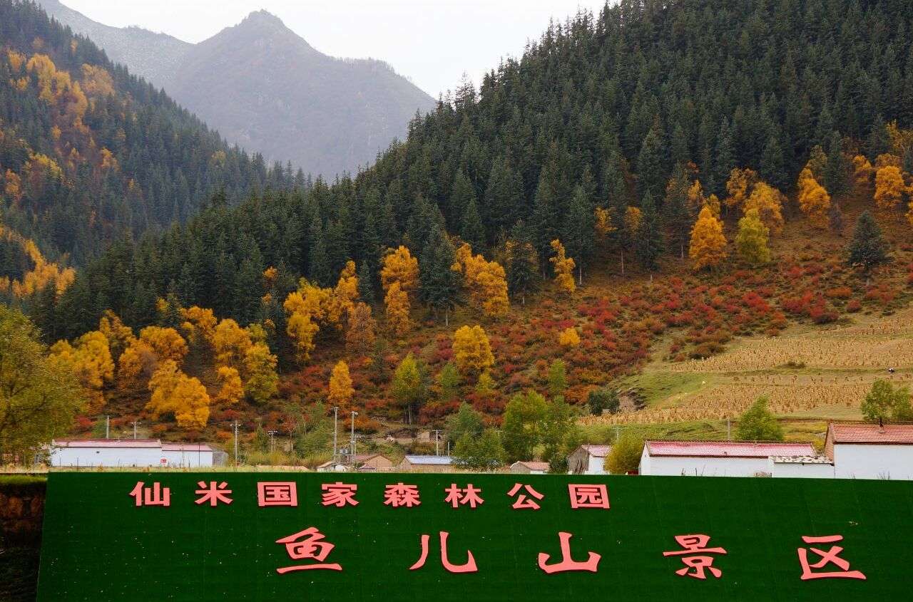 【蒙古记忆】——吐鲁沟国家森林公园