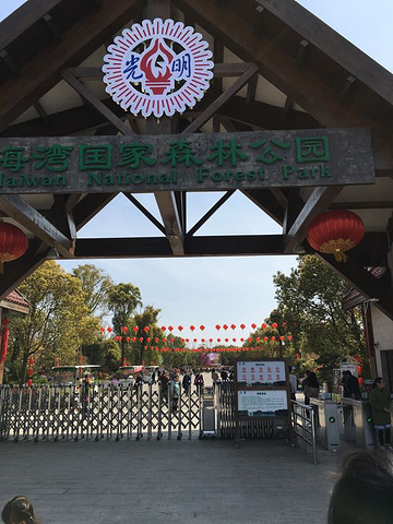 上海海湾国家森林公园旅游攻略，带你去看海湾森林站