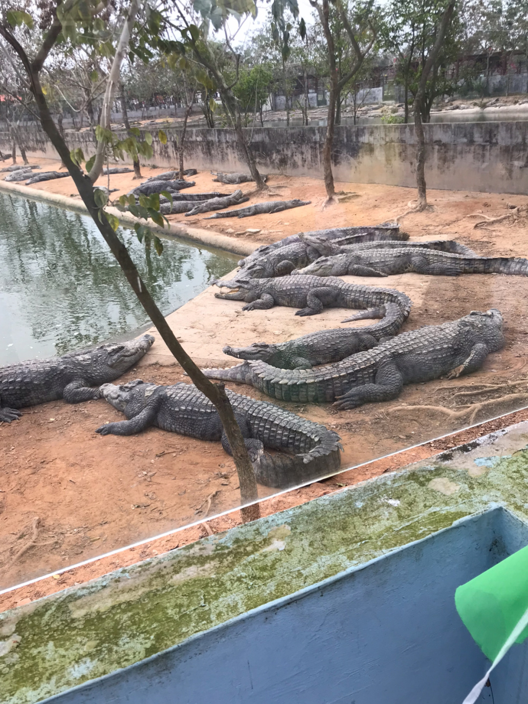 广东导游词茂名市森林公园森林公园茂名森林公园游客们大家好，我是您们的导游小高