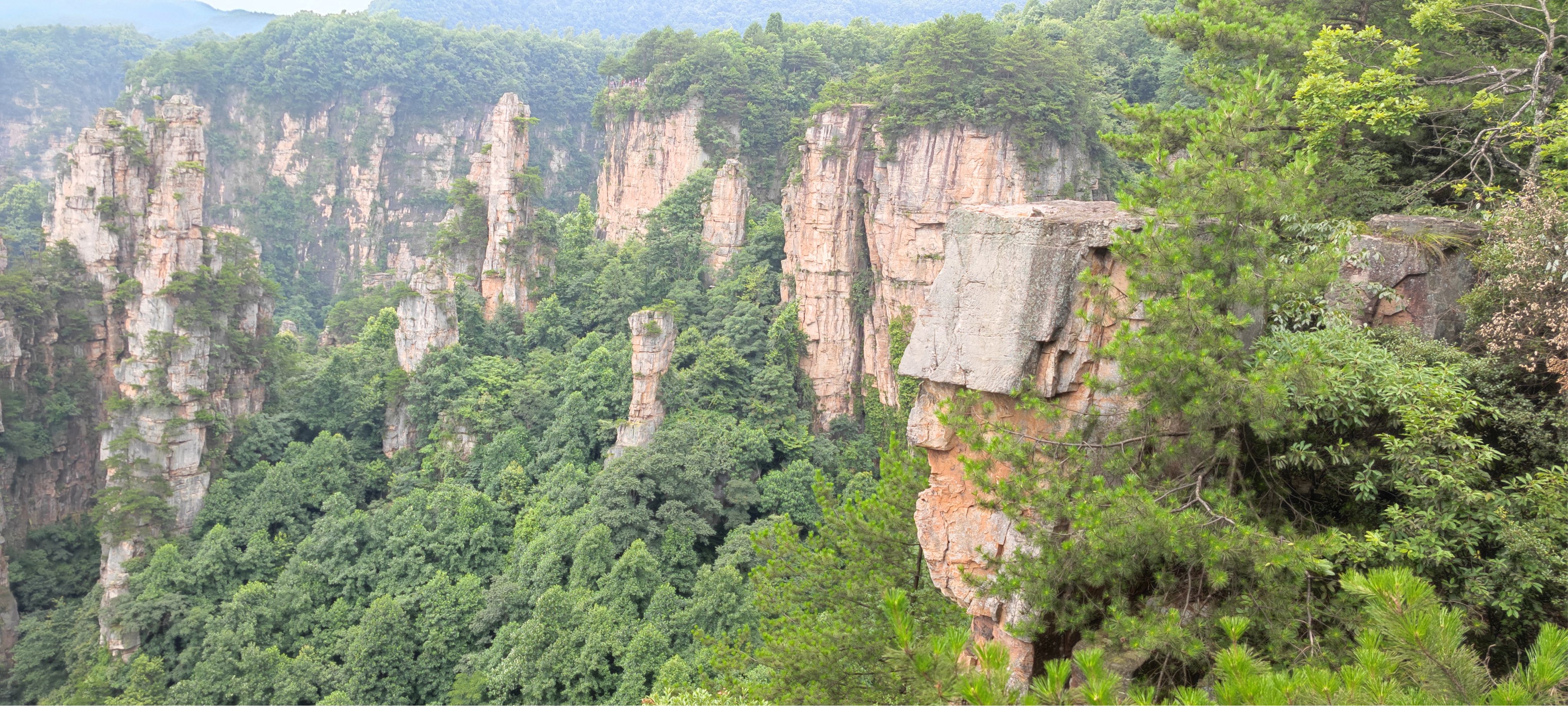 湖南四明山国家森林公园开园正式挂牌国家AAA景区开启旅游业发展新篇章