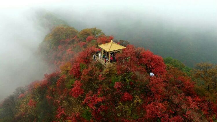 【蒙古记忆】三门峡甘山森林公园景区介绍及旅游攻略