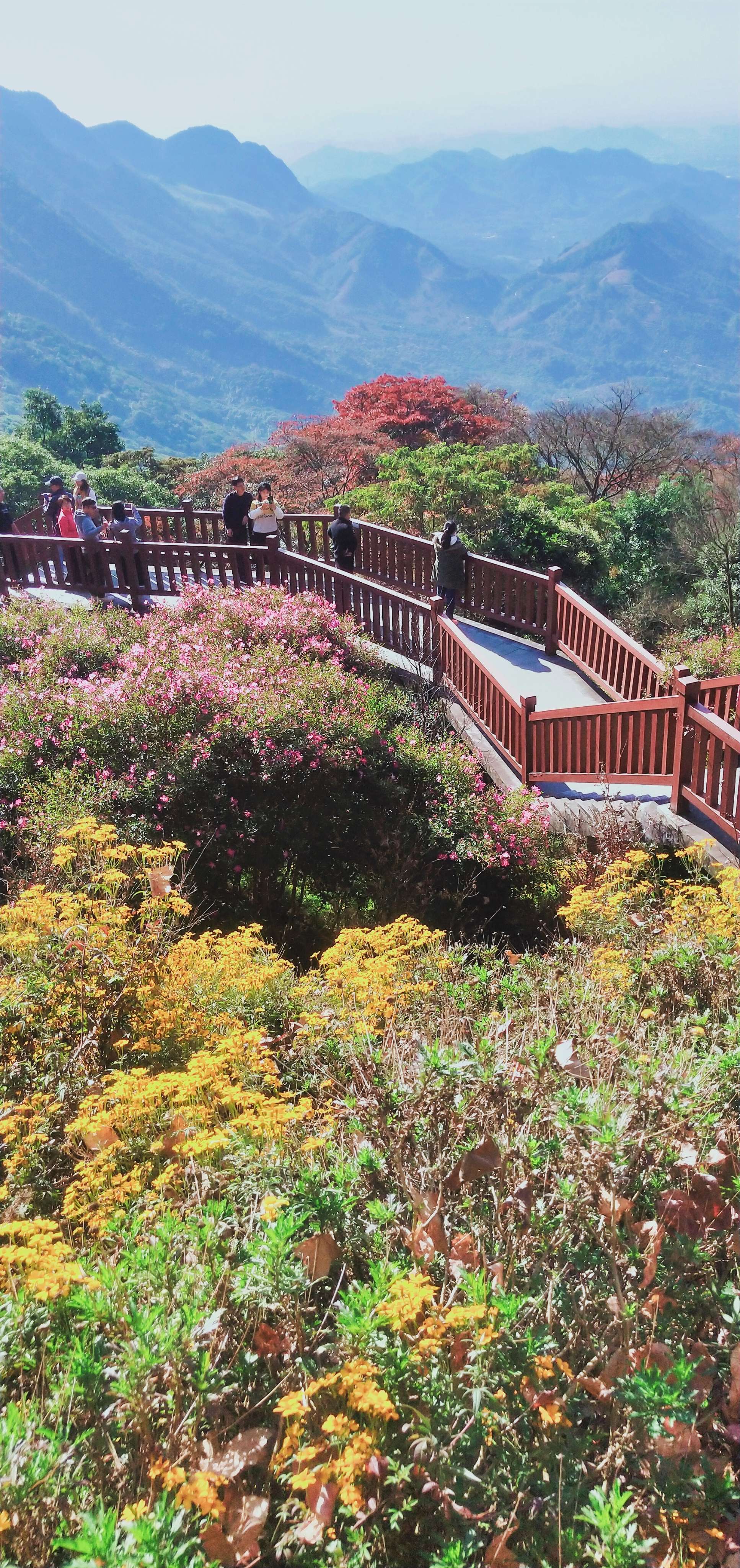 石门国家森林公园电话图片