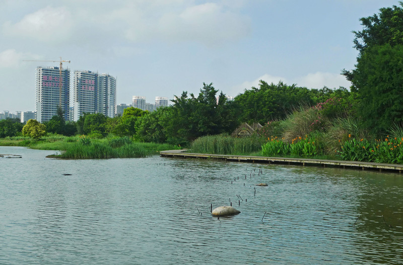 福建耗资1个亿的公园——五缘湾湿地公园