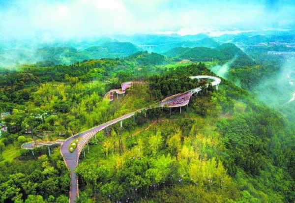 地理环境重庆铁峰山国家森林公园旅游攻略，你去过几个？