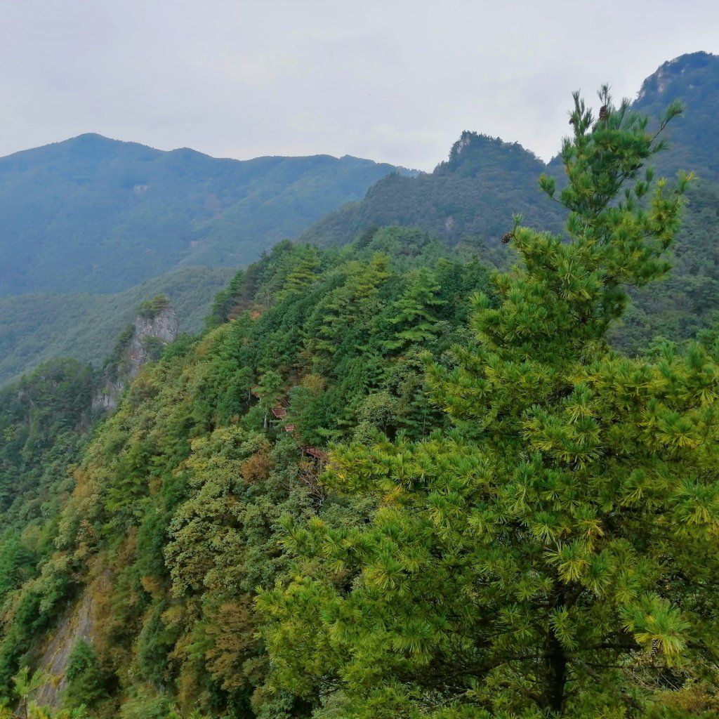 （蒙古记忆）汉中天台国家森林公园北依秦岭，南俯汉中盆地