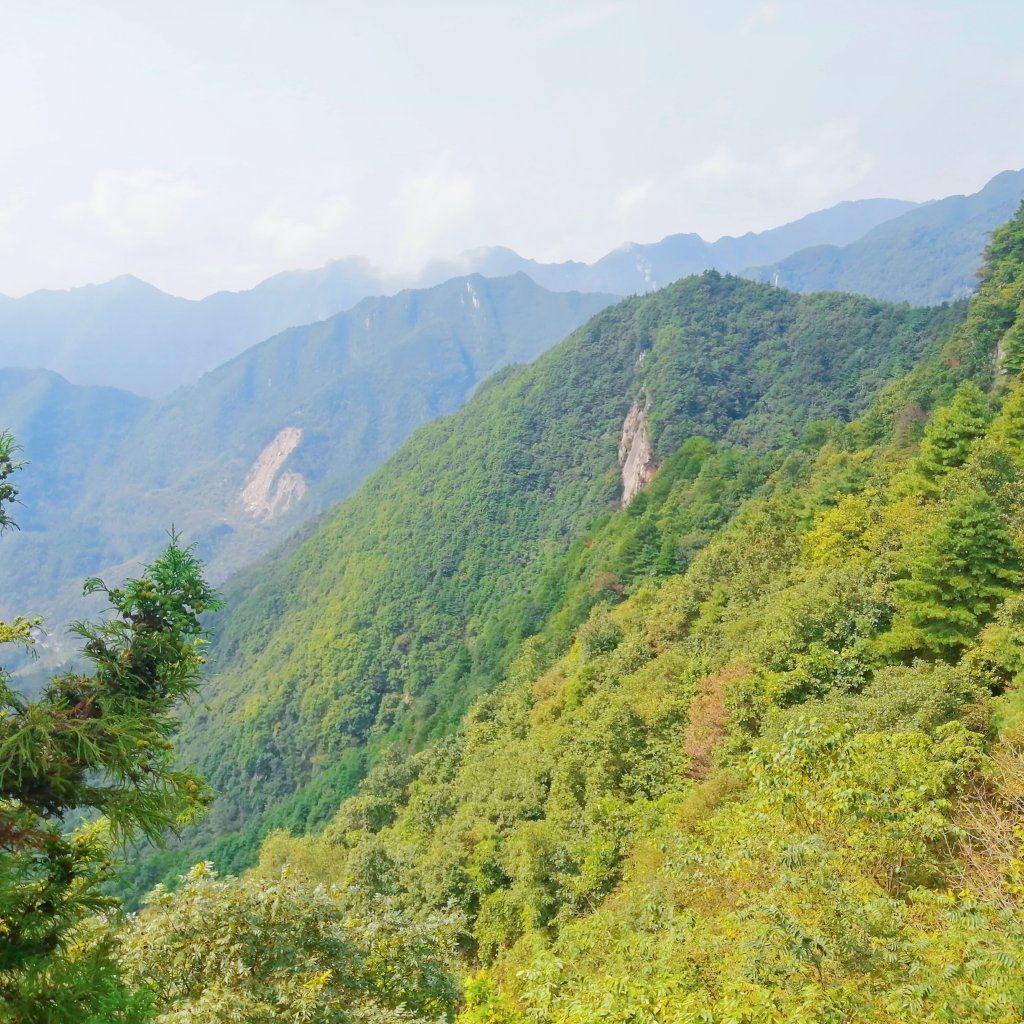 （蒙古记忆）汉中天台国家森林公园北依秦岭旅游景点推荐
