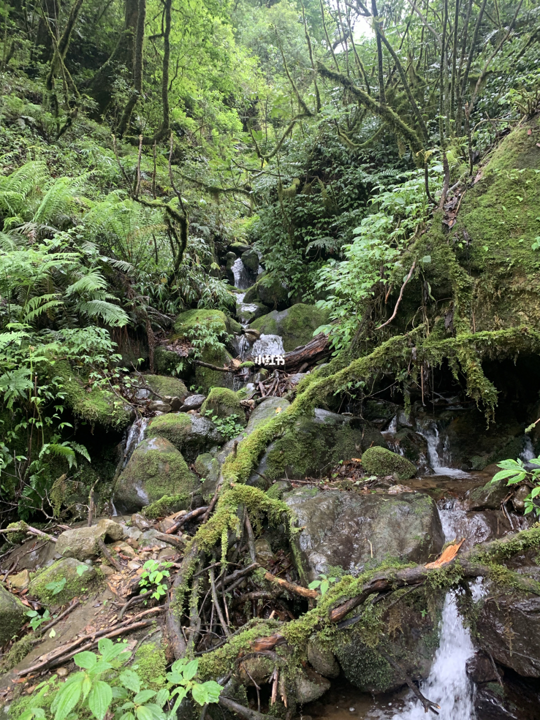 不知从何时起“秘境之中出美景”成为多数人心中的真理