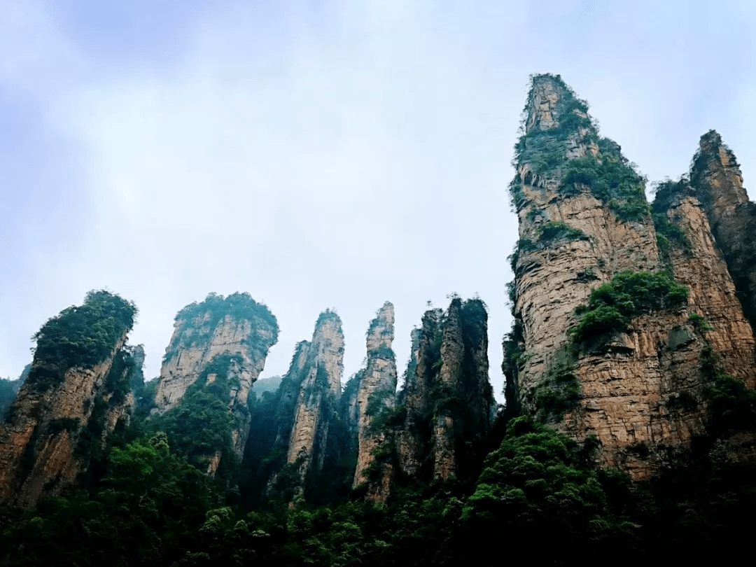 魔幻森林张家界武陵源风景名胜区画廊的六大景区