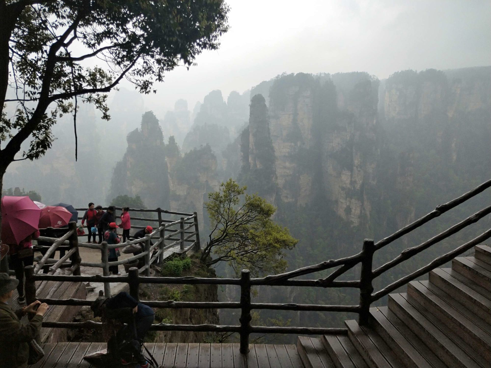 魔幻森林张家界武陵源风景名胜区画廊的六大景区