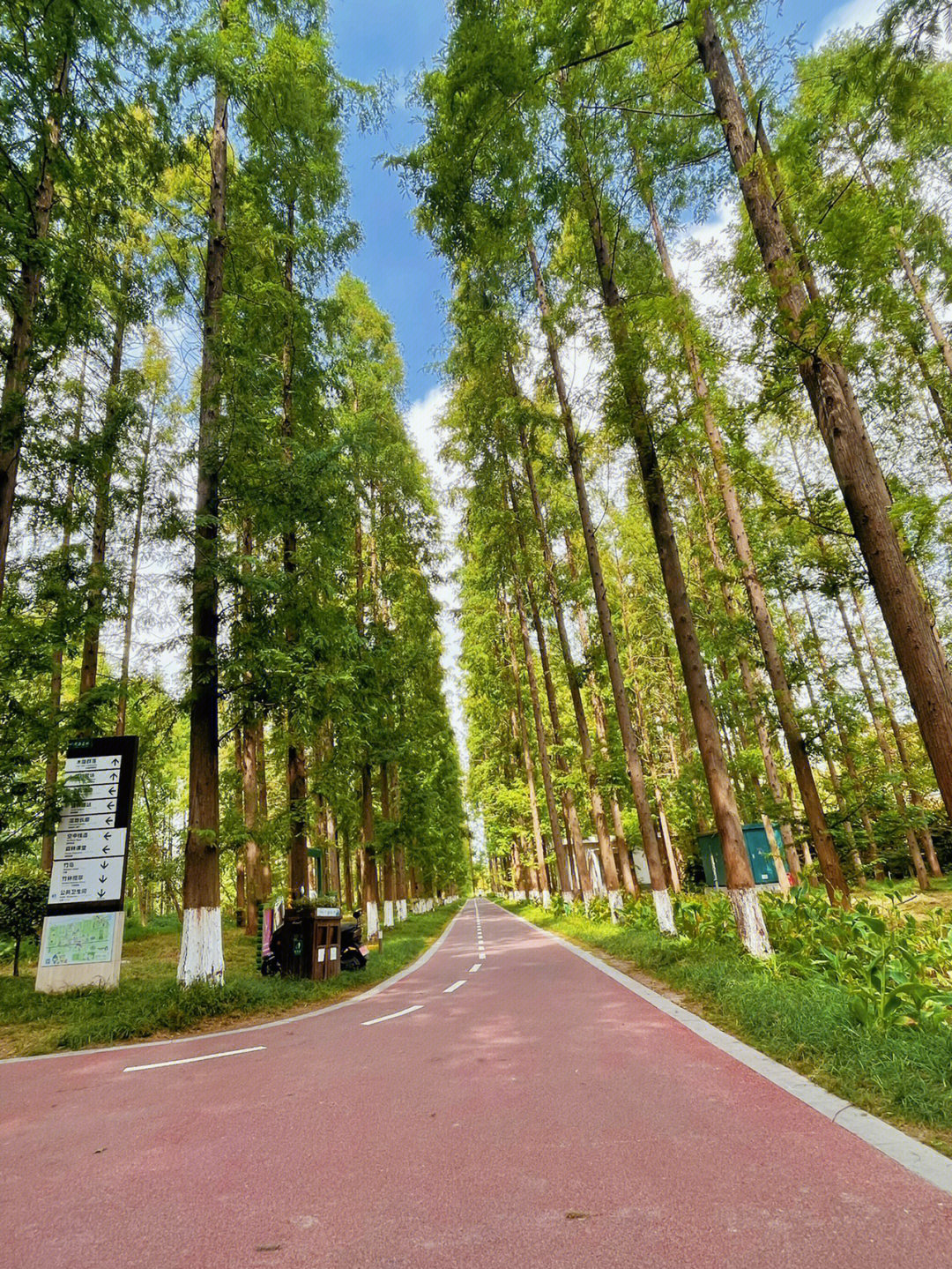 淄川南部森林公园图片