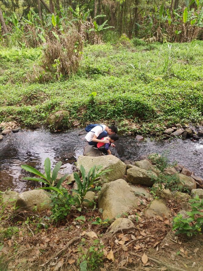 灵石山国家森林公园森林公园已通已通了旅游专线公交车便捷又好玩