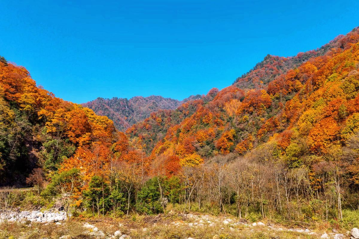 骊山国家森林公园是什么？骊山是怎么形成的？？