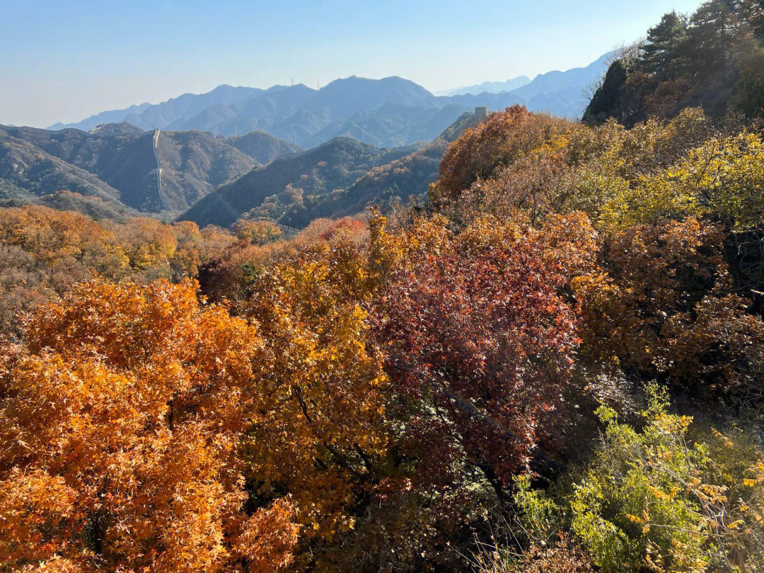 除了香山，北京还有这些景美人少景区红叶进入最佳观赏期