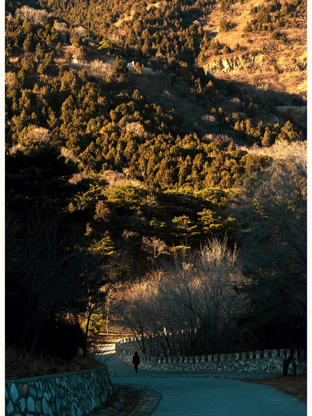 原来，北京藏着天然氧吧，景美有鬼直达可以直达众所周知