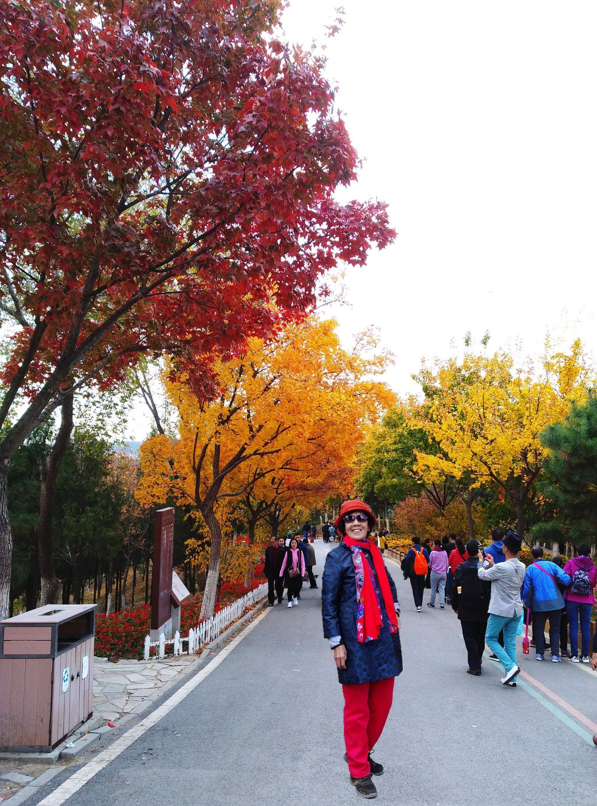 北京市园林绿化局发布今秋“赏叶”地图精选16处公园景区