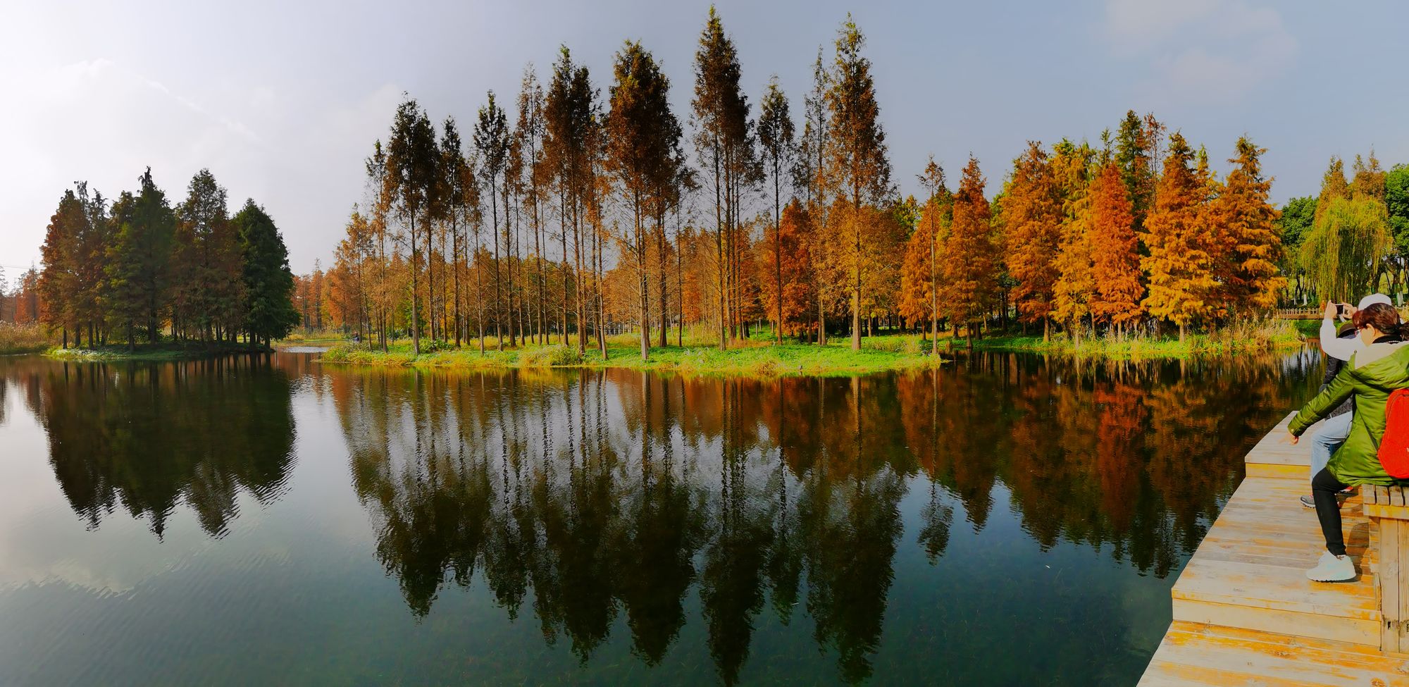 安徽有个特色公园，以森林为主，还搭配了石山流水