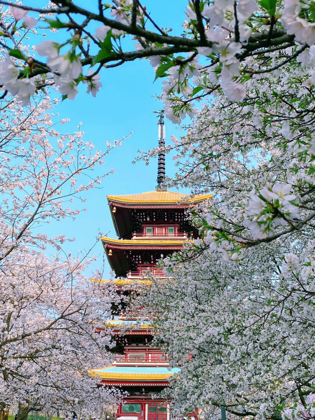 （蒙古记忆）武汉东湖风景区，一路走来的美景