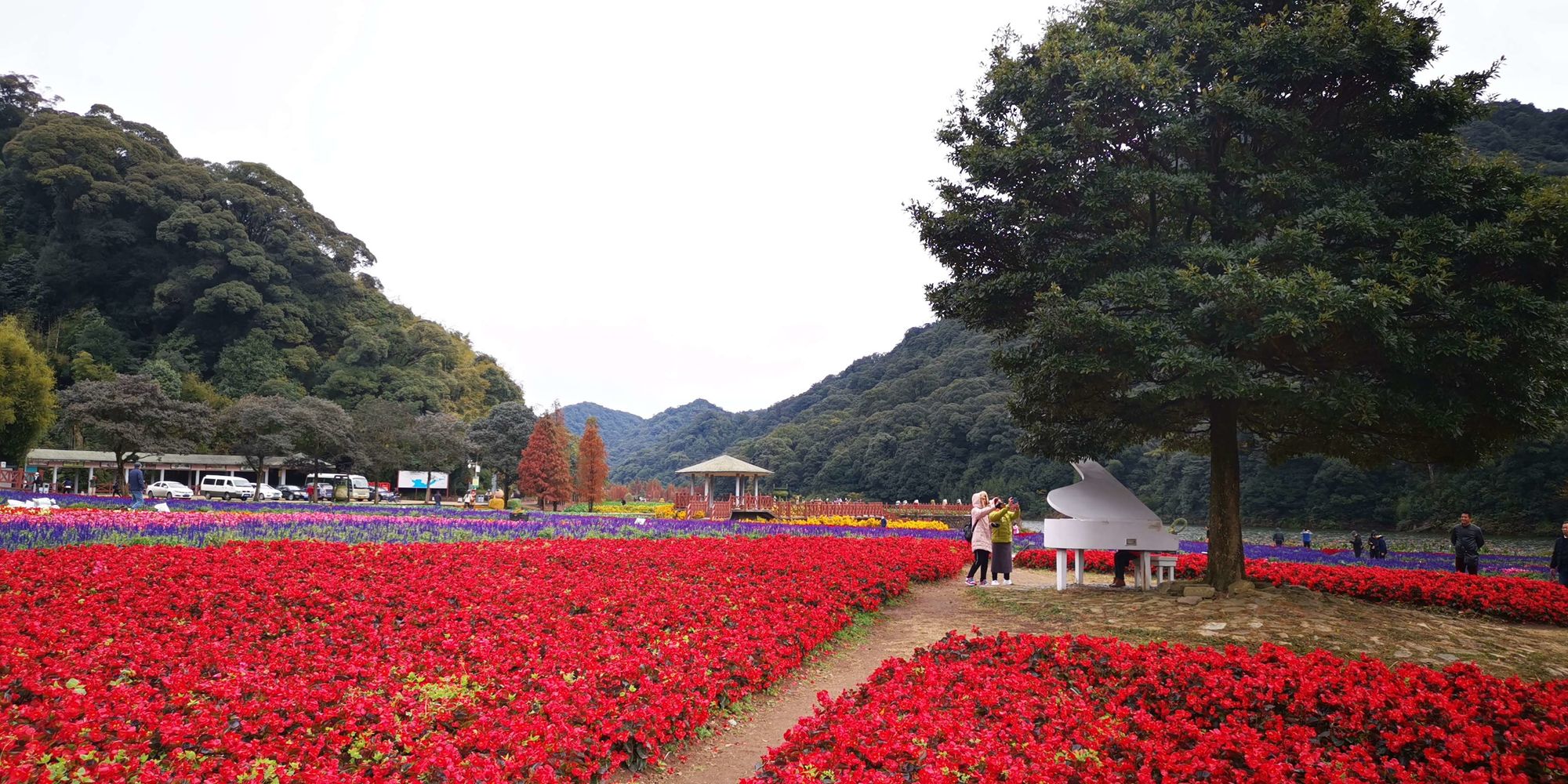 面积近13平方公里！江苏这处景区，景色迷人