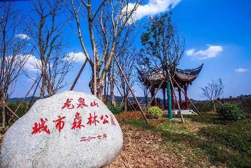 龙泉山城市森林公园第二届“市民体验官”2022年度分享会举行