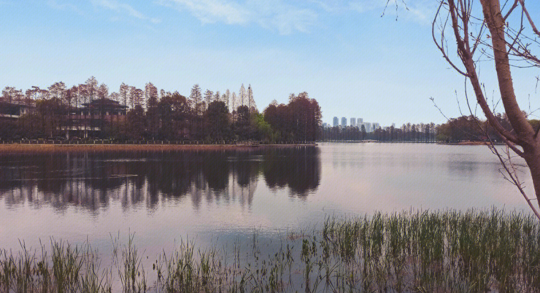 武汉市中心城区,保护生物多样性,维持生态平衡