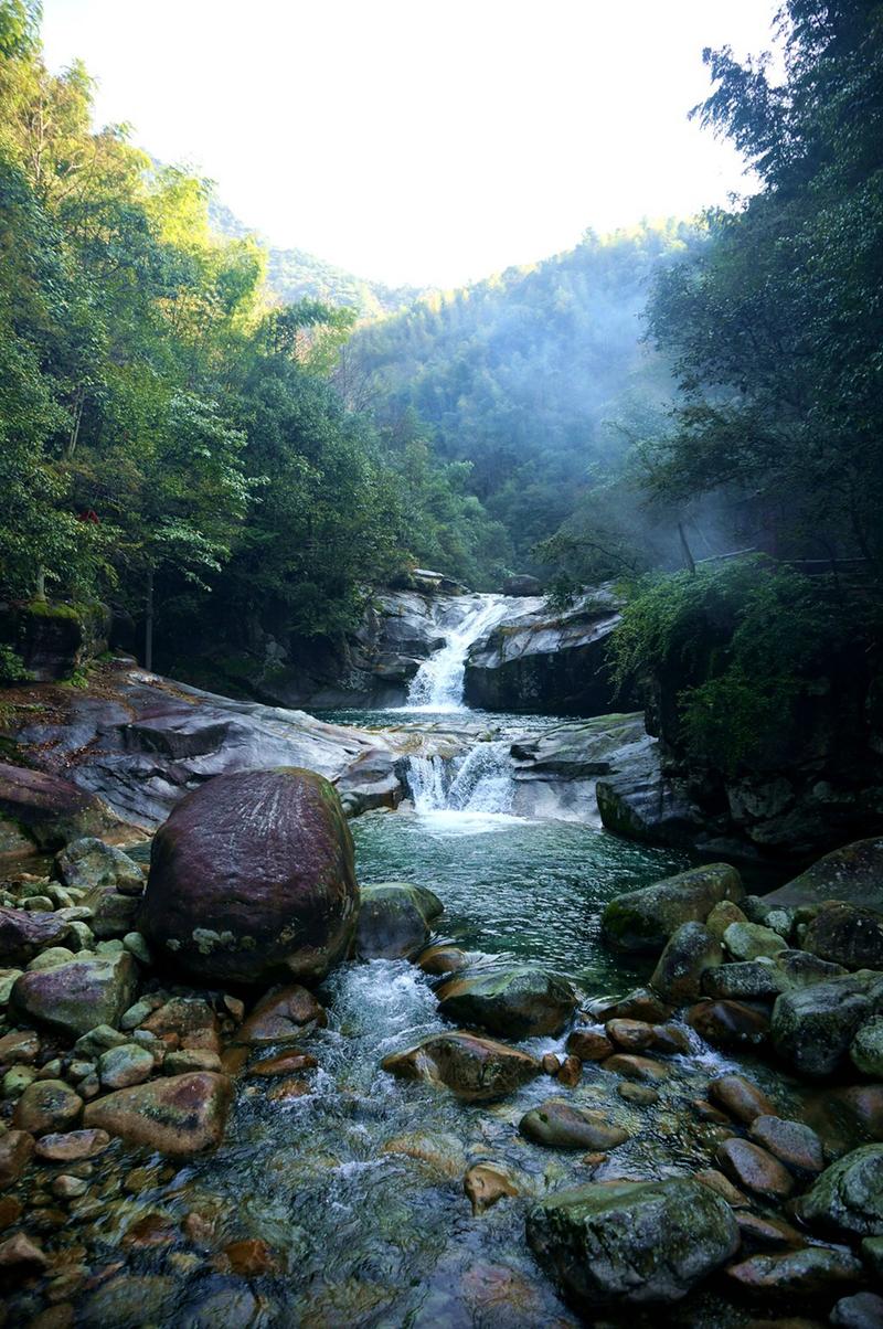 江西九岭山旅游景点之一：古朴自然的原始森林